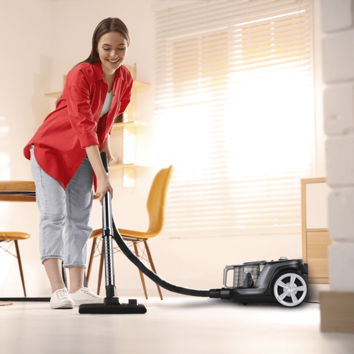 tesla car vacuum